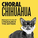 Choral Chihuahua
